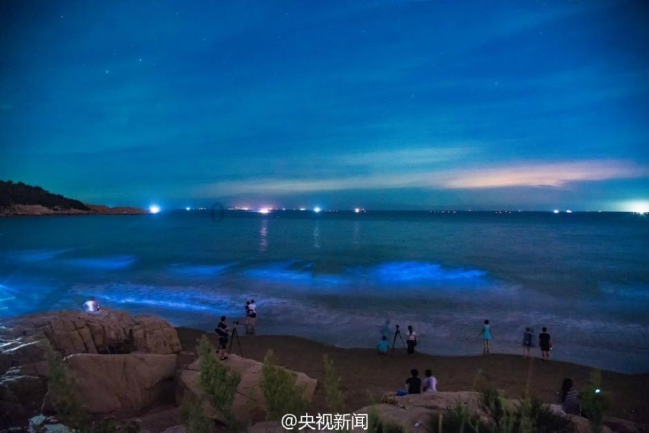 球球大作战下载最新版