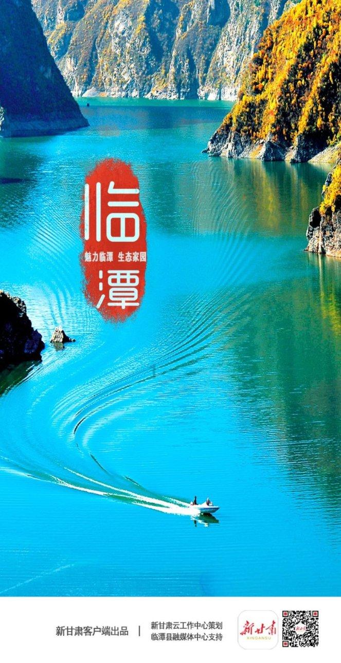 探索张一元茶叶和吴裕泰怎么样?的知识宝库