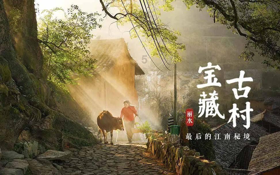 南昌县黄马乡：花卉小产业，赋能新乡村