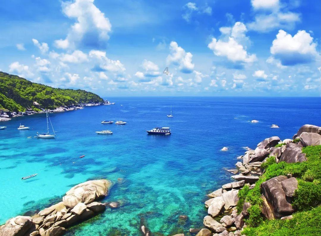 海岱观|从山东“三核”走向环渤海中心城市,“万亿新城”烟台再出发