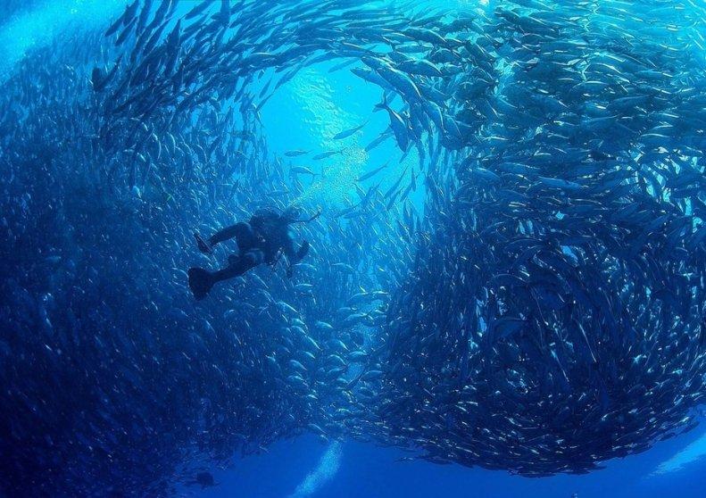 汽车什么时候该换机油游戏画面