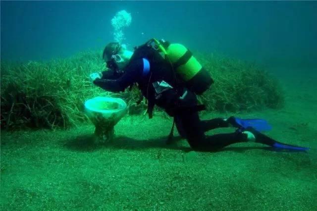 青海海东民和筑牢灾后重建就业基础