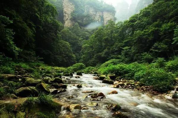 【奔流·记者帮】商家发错货还打电话辱骂顾客,电商平台依规处罚