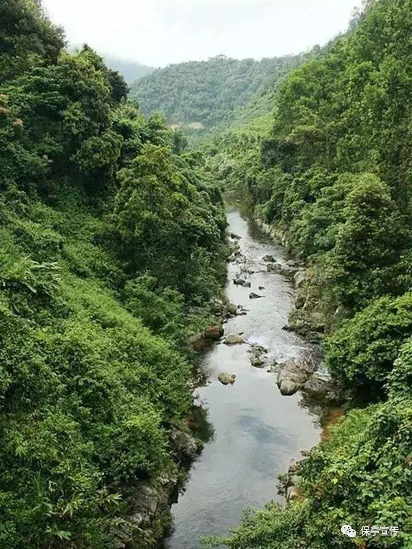 蓝狐视频
