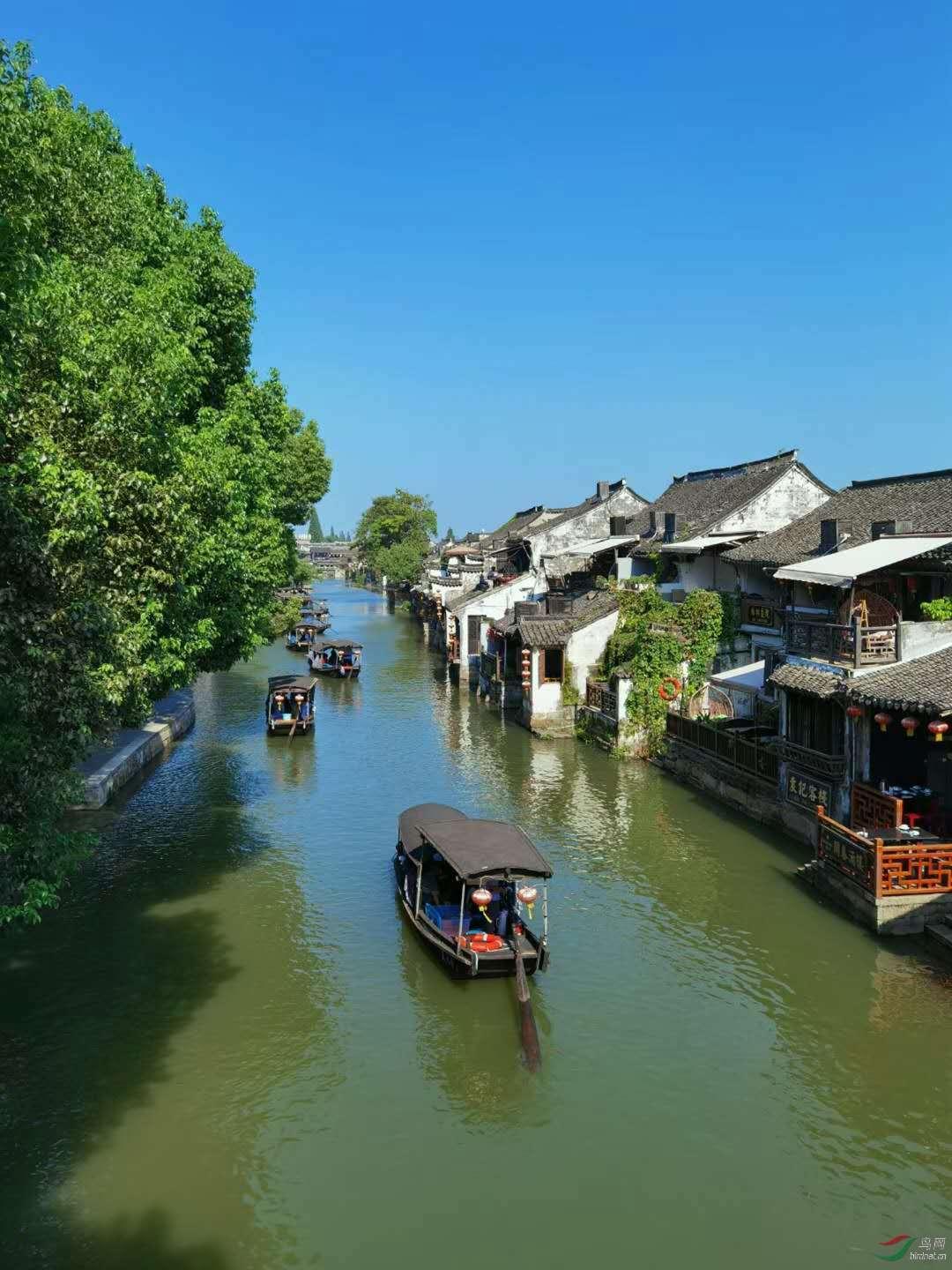 掘地挖宝